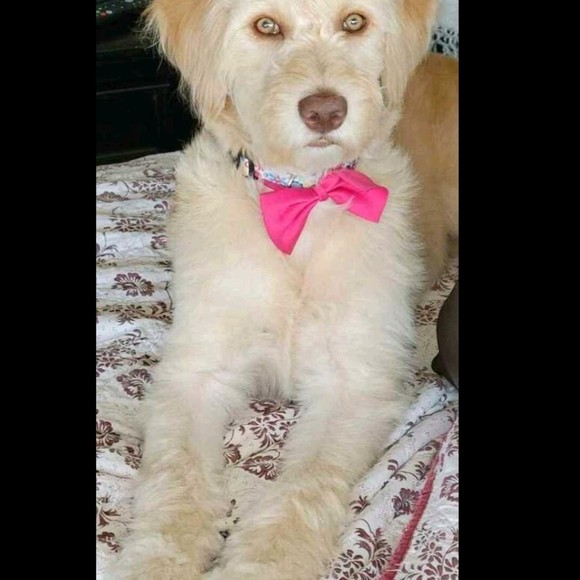 Meet your Posher, Kimberly - Picture 1 of 1